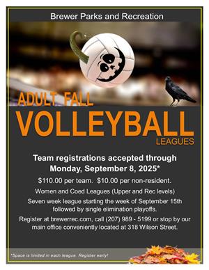 Fall Volleyball League