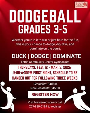 Dodgeball 2026