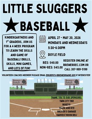 Little Sluggers Baseball Flyer